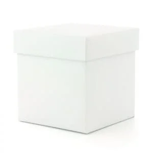 Técnicas de caja blanca
