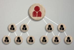 roles en las revisiones