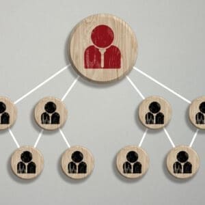 roles en las revisiones